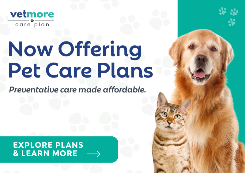 Carousel Slide 1: Preventative care made affordable. Learn more >